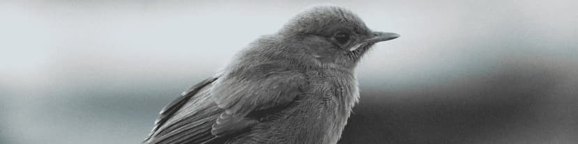 The ‘Social Drinker’ Myth: Why It’s Dangerous and How AA Forest Hills Help