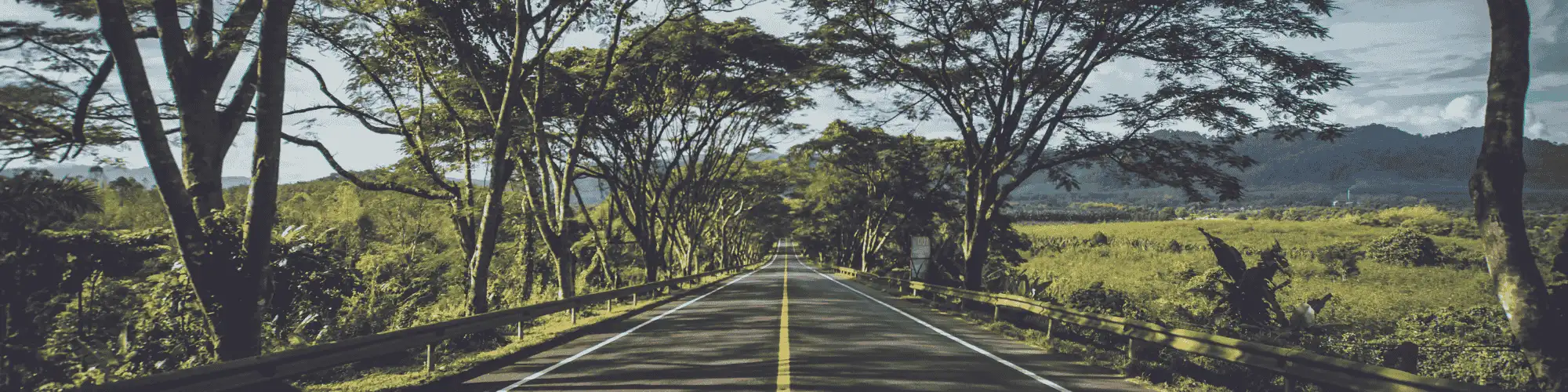 The 12 Steps of Recovery Today: Your Journey to Sobriety Discover how the 12 steps of recovery today can guide you to sobriety