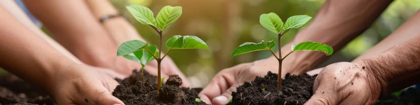 How the 12 Traditions of AA Strengthen Recovery Support