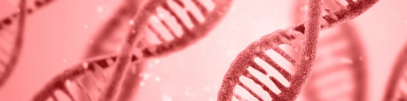 The Biology of Alcohol Cravings: Open AA Meetings San Jose