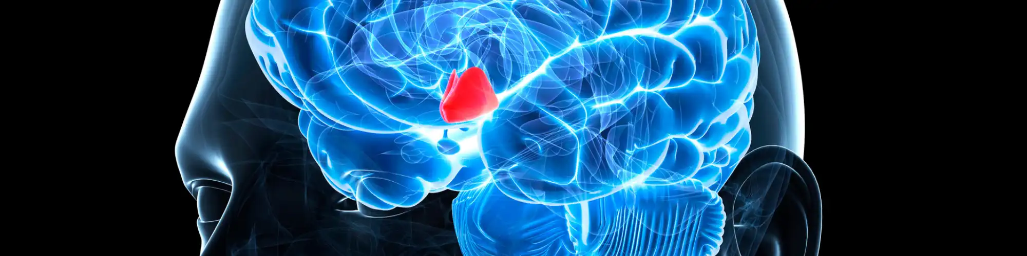 The Link Between AA Living Sober and Brain Function Discover how AA living sober supports brain health and cognitive recovery