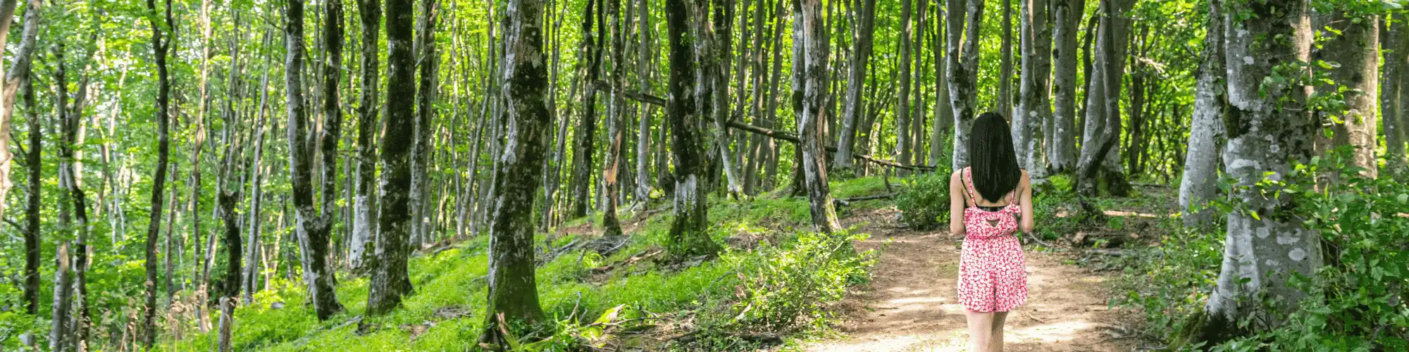 The Moment I Knew to Seek AA Meetings Charlotte Read this personal story of the moment everything changed and why I chose to seek AA meetings Charlotte for a fresh start