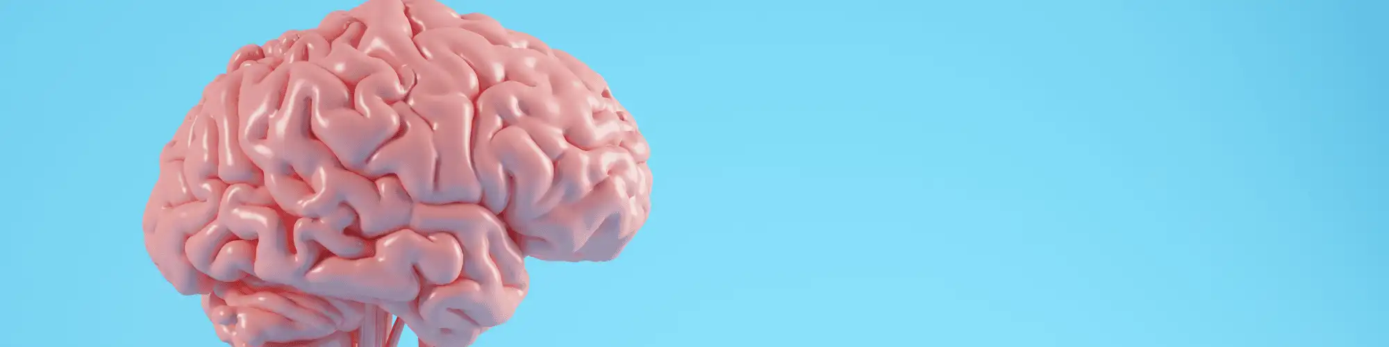 The Neurological Impact of Alcohol Abuse: Costa Mesa Alano Club Discover Costa Mesa Alano Club for support in your sobriety journey