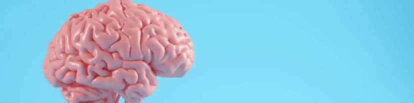 The Neurological Impact of Alcohol Abuse: Costa Mesa Alano Club