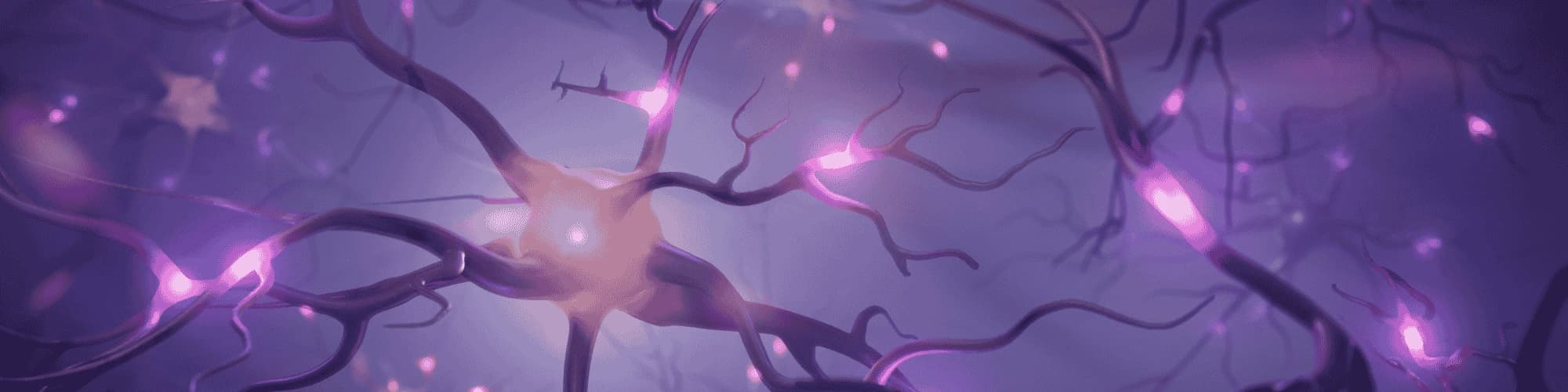 The Neuroscience of Alcoholism and Local AA Boston Meetings neurons