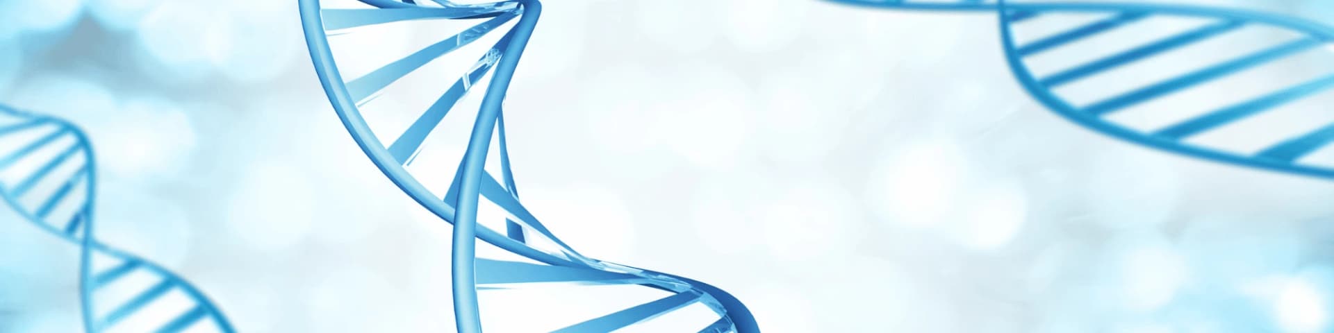 The Role of Genetics in Alcohol Addiction Risk A picture of gene strands