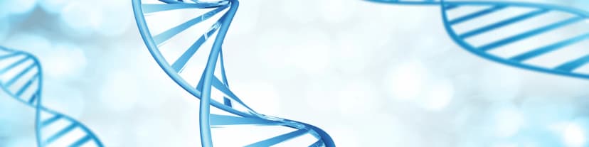 How Genetics and Meetings AA NYC Impact Alcohol Addiction