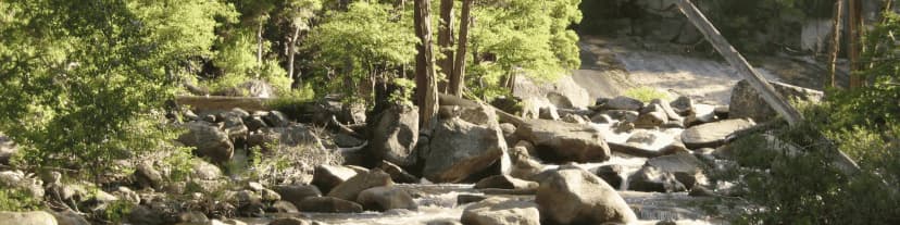 Transformative Experiences at AA Meetings Phoenix Area