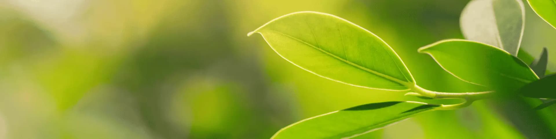 Turn Your Life Around: Arlington VA AA Meetings Espanol Tonight Turn your life around with Arlington VA AA meetings Espanol tonight