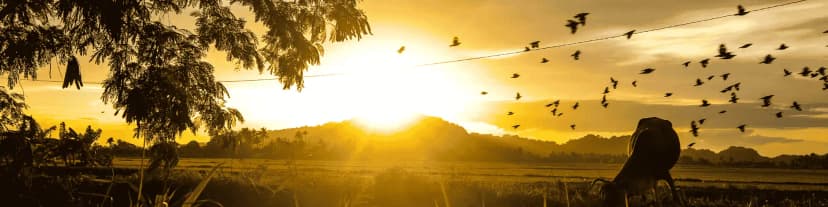 Understanding Blackouts and Alcoholism: AA in Orange County Calif