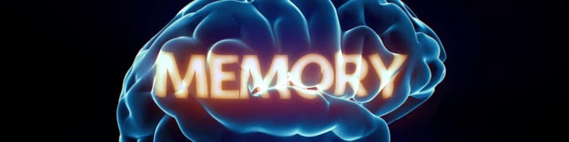 Understanding Blackouts with Arlington AA: How Alcohol Disrupts Memory