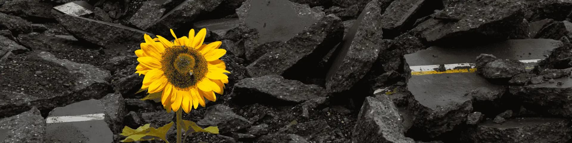 Unexpected Joys of a Life Without Alcohol with AA Orange County Find AA meetings Orange County and start building a fulfilling, alcohol-free life today