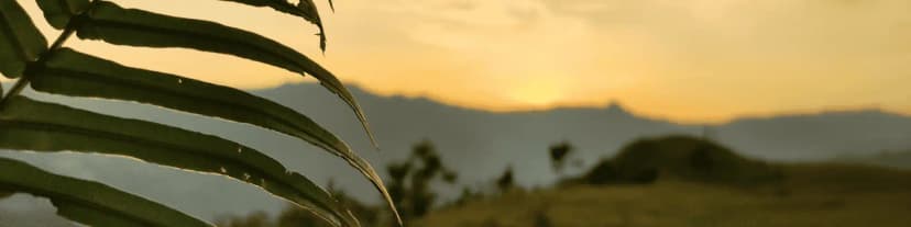 Unlock a New Life: Connect to AA Near Me and Heal