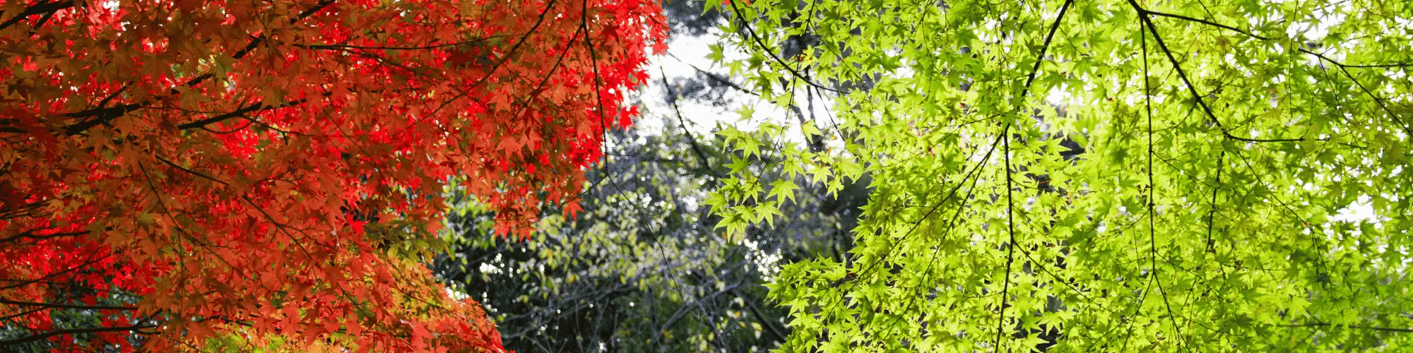 Why the Best AA Meetings in Boston on Wednesday Night Matter Discover why the best AA meetings in Boston on Wednesday night matter for recovery