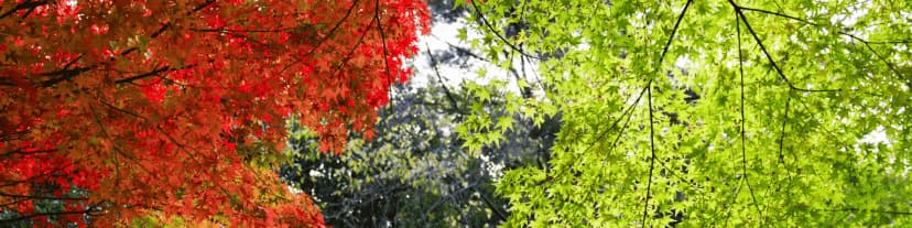 Why the Best AA Meetings in Boston on Wednesday Night Matter