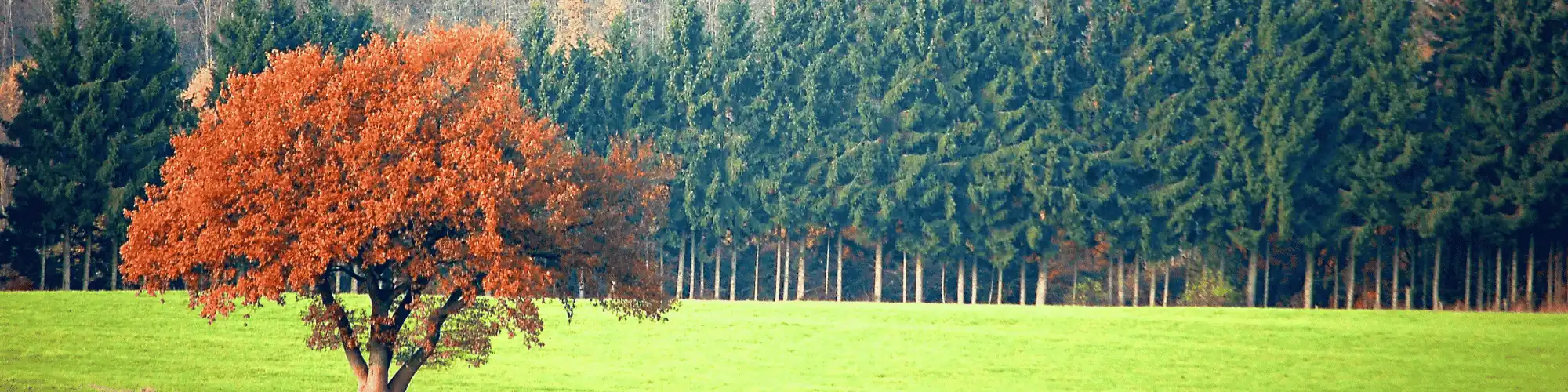 Your Path to Recovery Starts Here: Access AA Near Me Access AA near me to find local support, attend AA meetings, and start your recovery journey