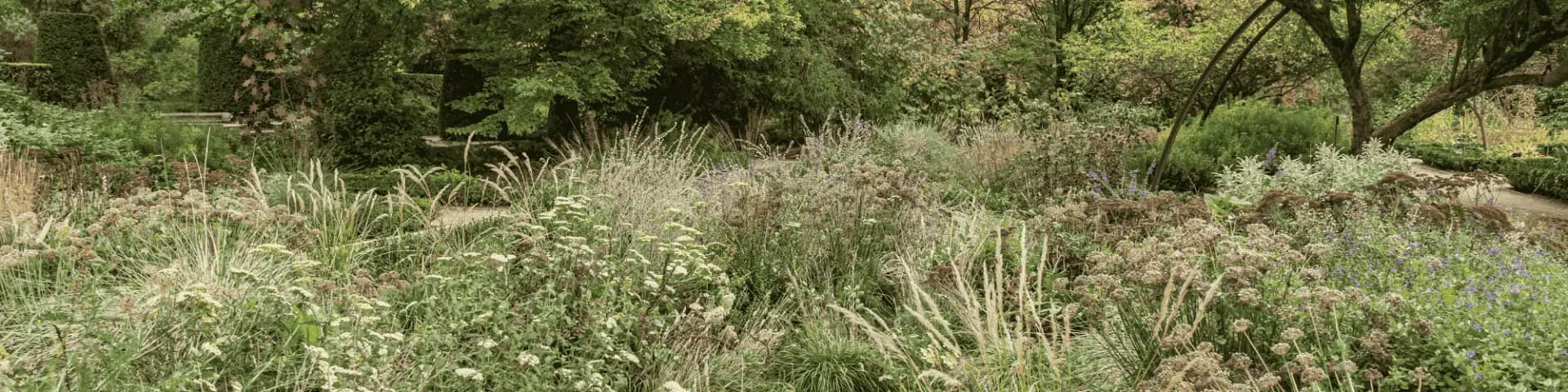 Your Second Chance Starts Now: Seek AA/NA Today Your second chance starts now. Seek AA/NA for support, guidance, and a fresh start on your journey to sobriety