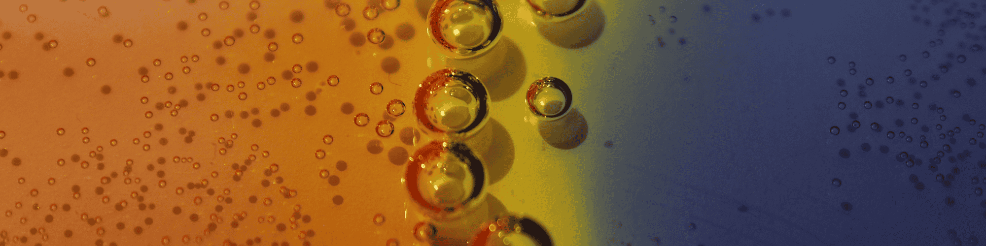 alcoholics anonymous anonymity alcoholics anonymous anonymity