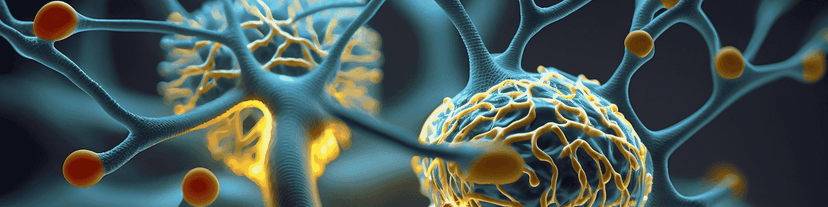 How AA Meetings Stimulate the Brain’s Reward System Without Alcohol