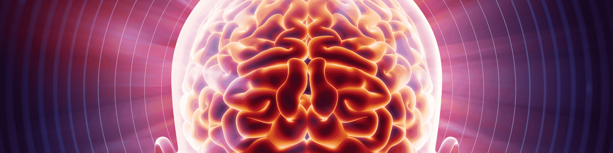 brain power power of the brain
