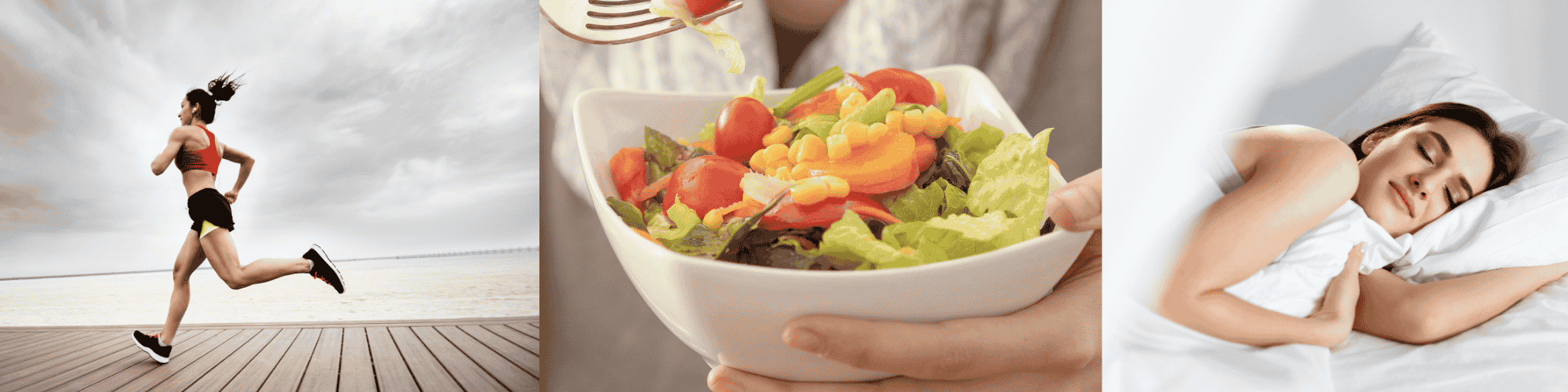 diet and nutrition variety of foods