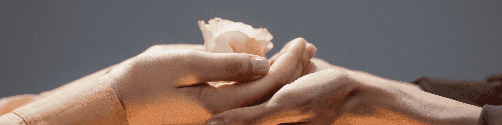 emphaty emphaty hand giving flower