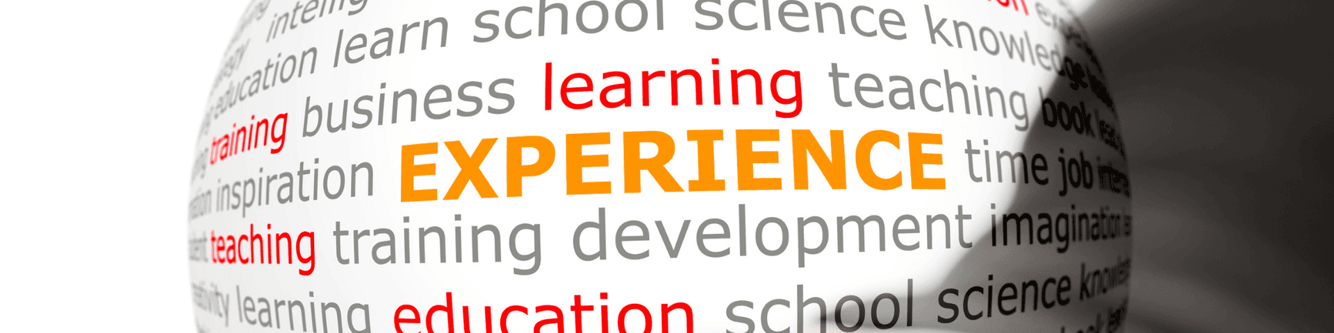 experience graphics word bundles highlighting "EXPERIENCE"