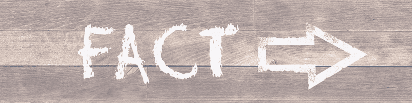 Myth Busting in AA Meetings Las Vegas Demystified