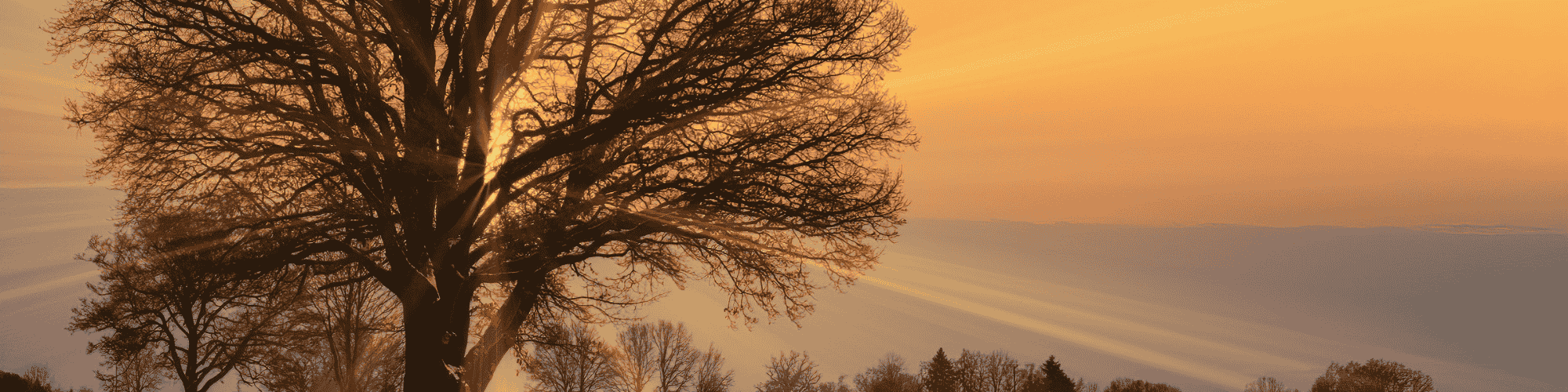 free rehab free rehab