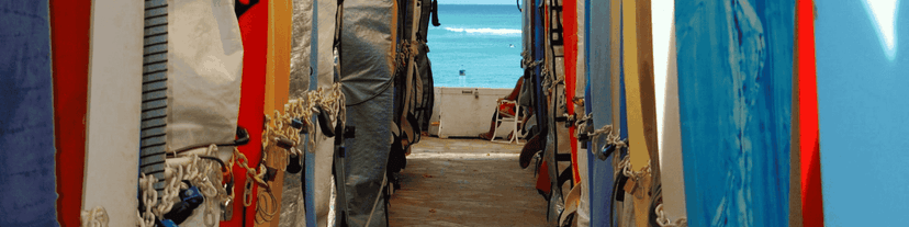 What I Do When I Crave Alcohol: Practical, Brain-Based Techniques AA Meetings