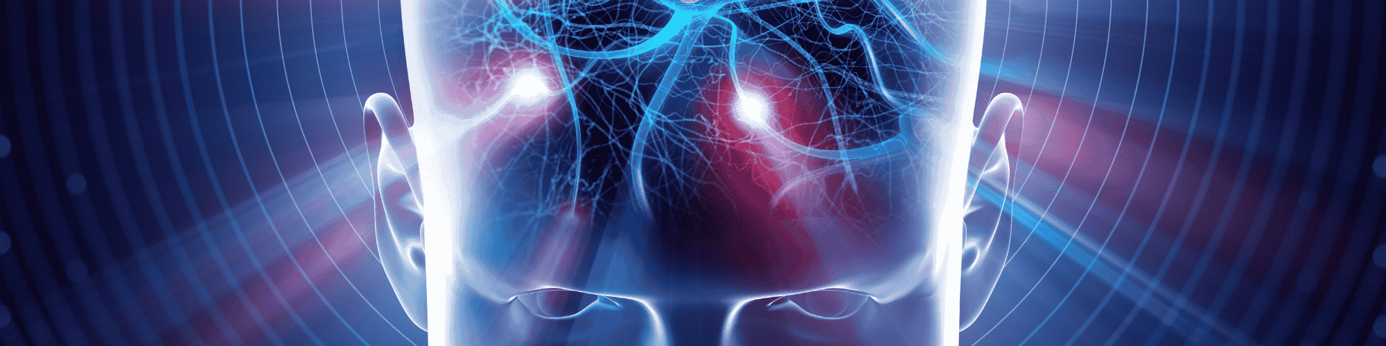 pre frontal cortex brain graphics