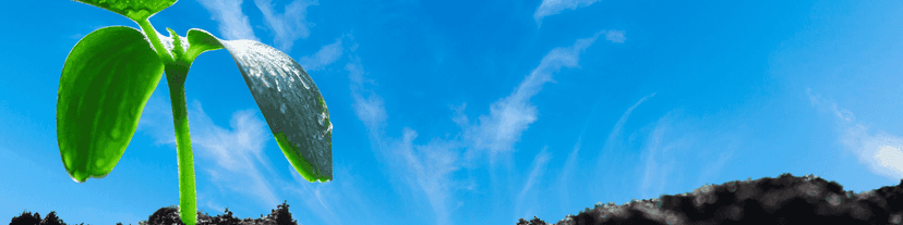 AA Gray Sierra Vista AZ Today: A Journey of Renewal