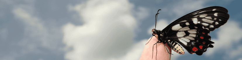 Why AA Meetings Became My Safe Haven: 12 Steps of AA