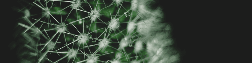 My Anxiety Spiked When I Quit Drinking: And How I Learned It Was Normal- AA meetings