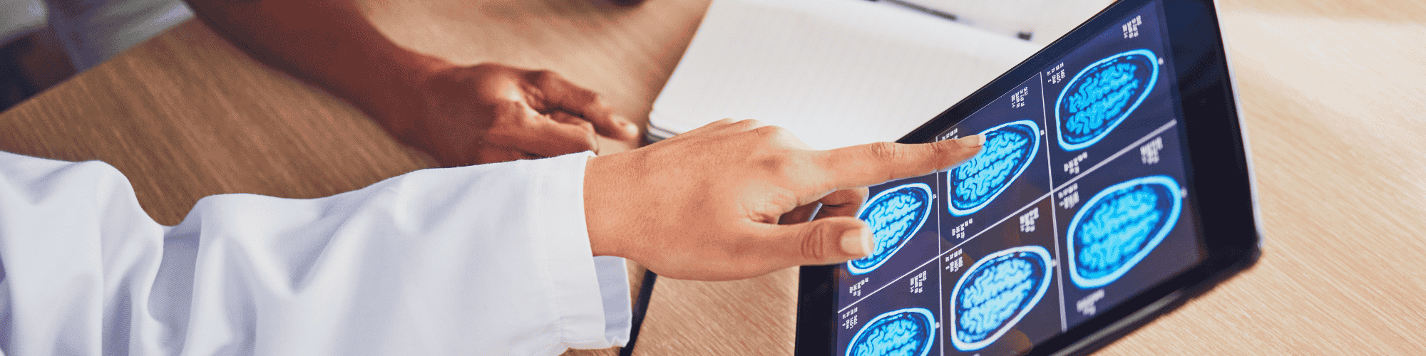 studying the brain scientist studying the brain