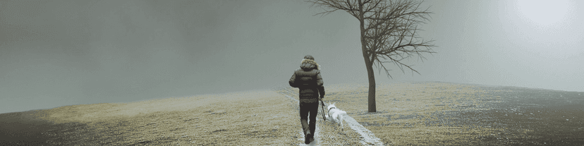 Top AA Meetings Los Angeles: What It Feels to Find the Right Room