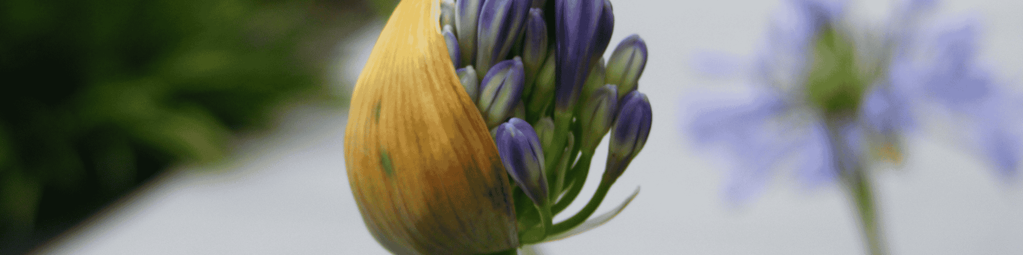 transform transformation