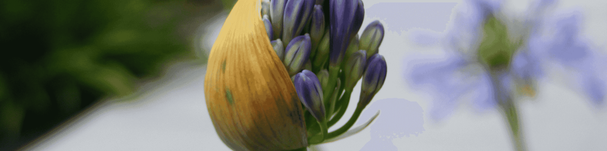 transform transformation