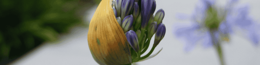 How Finding the Right AA Meetings Group Transformed My Sobriety Journey